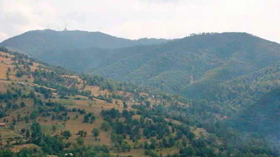 Tura pe nemarcate in muntii Bargaului