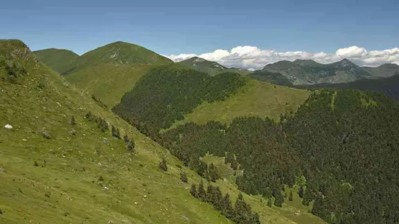 Pe crestele sudice ale Rodnei 