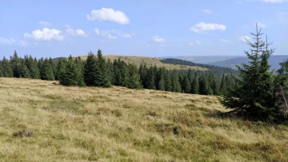 Tura MTB Crucea Iancului, Dobrus, Varful - 23.09. 2023
