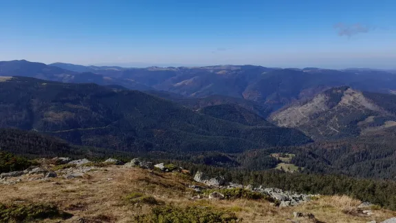 Circuit Cabana Vladeasa - Pietrele Albe - Vf. Vladeasa - Cabana Vladeasa