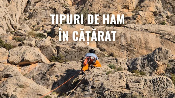 Tipuri de ham în cățărat