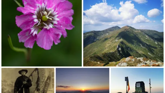 ISTORISIRI ÎNFLORITE: O CĂLĂTORIE MAI ALTFEL ÎN MUNȚII RODNEI