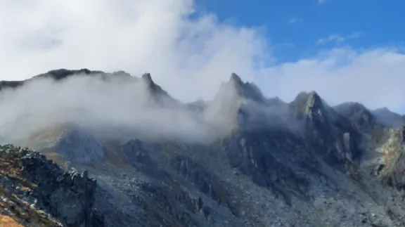 Retezat Camp, Gențiana 23-26 iulie