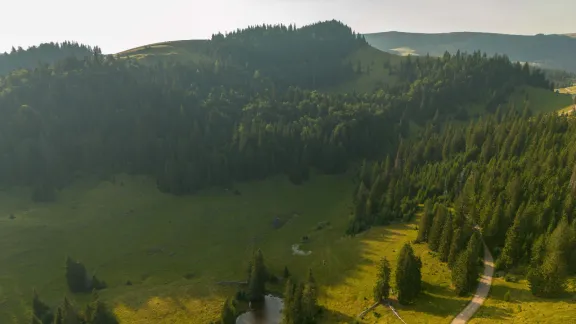 Tabăra Primăverii, Padiș 14-17 mai 2026