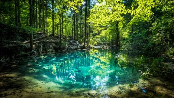 Descoperă Cheile Nerei: Drumeție și Camping de 1 Mai