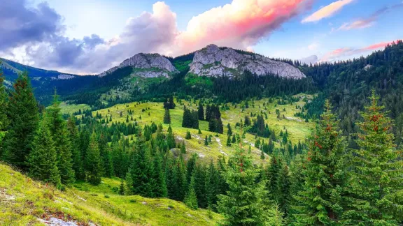 Cascada Rachitele - Pestera Susman - Pietrele Albe (Circuit) > Muntii Vladeasa