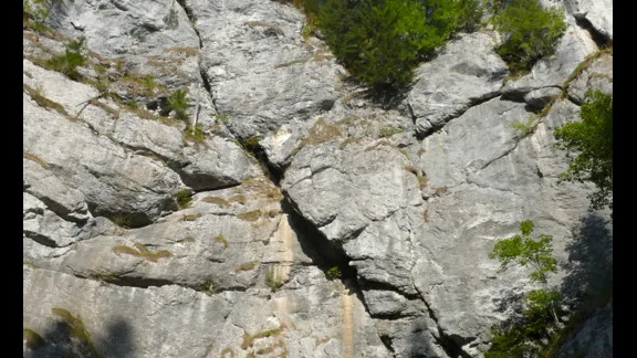 LA PADIS