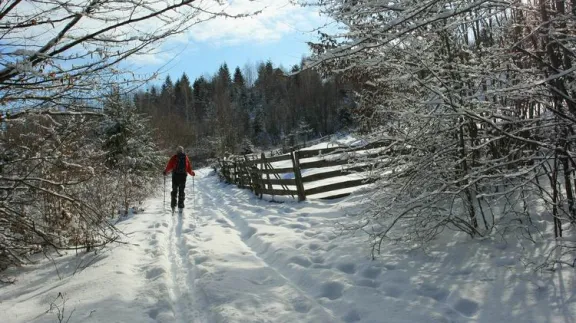 Pe schiuri "prin gradina casei"