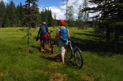 Tura MTB Muntii Muntele Mare: Rezervatia Naturala Molhasurile Capatanii