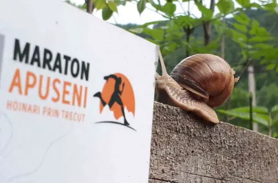 Dupa msg Maraton Apuseni ediția 2022