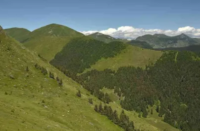 Pe crestele sudice ale Rodnei 