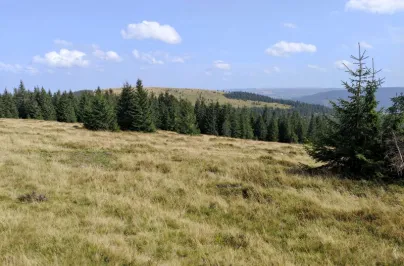 Tura MTB Crucea Iancului, Dobrus, Varful - 23.09. 2023