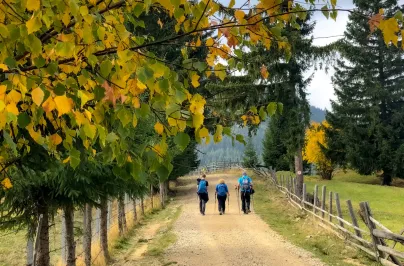 Toamna pe Via Transilvanica