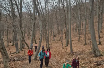 Leap Day 2024 - geocaching si excursie pe Valea Cocinii