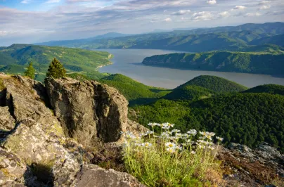 Dunărea între Cazane și Trescovăț, FLEXTAIL
