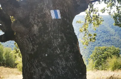 Marcaj traseul Someșului Cald