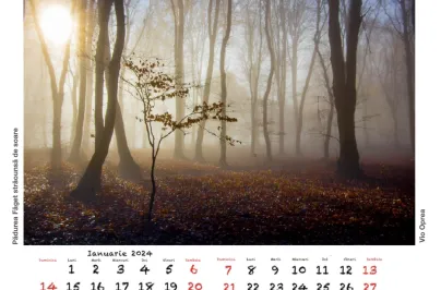 Concurs foto pentru calendarul anului 2025