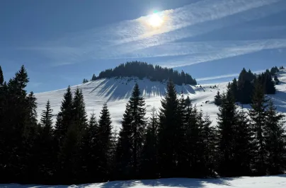 Tabăra iernii, Padiș 20-23 februarie 2025