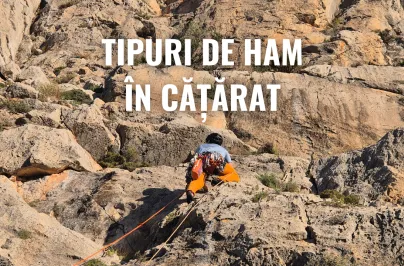 Tipuri de ham în cățărat