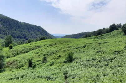Pădurea Craiului: explorare pe două roți