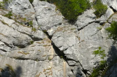 LA PADIS