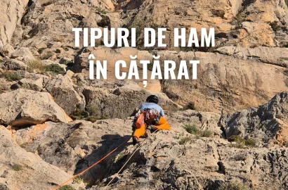 Tipuri de ham în cățărat