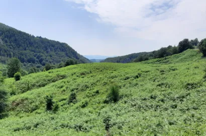 Pădurea Craiului: explorare pe două roți