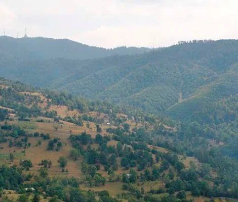 Tura pe nemarcate in muntii Bargaului