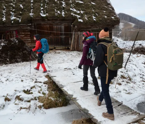 Colind la batranii din Valea Poienii 2025