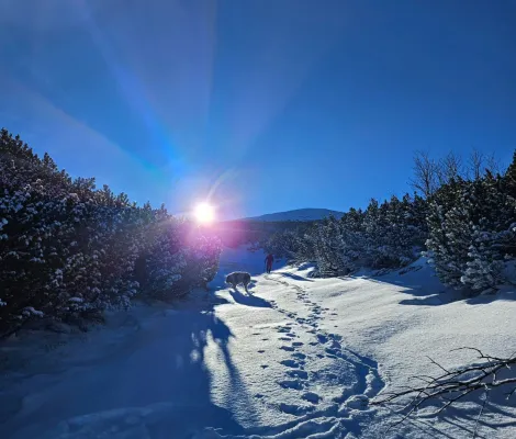 Iarna in Parâng, Vf Mija 2353m