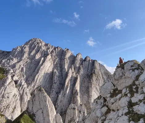 Adoptă un cățărător - ediția pentru tineret