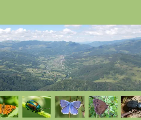 Nestematele naturii: Excursie entomologică pe Platoul Bedeleu 