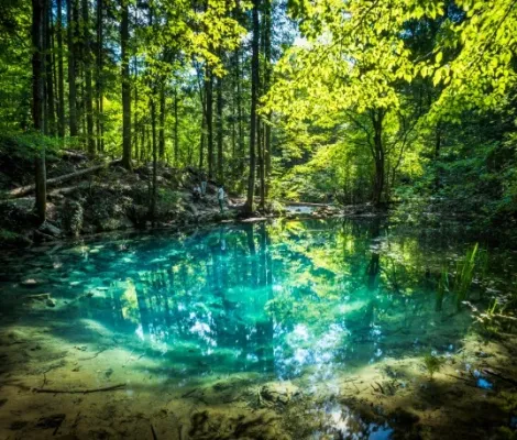 Descoperă Cheile Nerei: Drumeție și Camping de 1 Mai