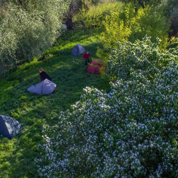 Cu caiacul în Delta Dunării
