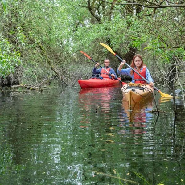 Cu caiacul în Delta Dunării