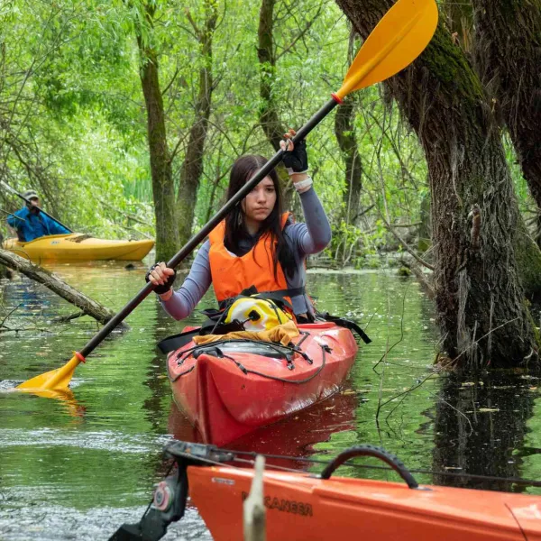 Cu caiacul în Delta Dunării