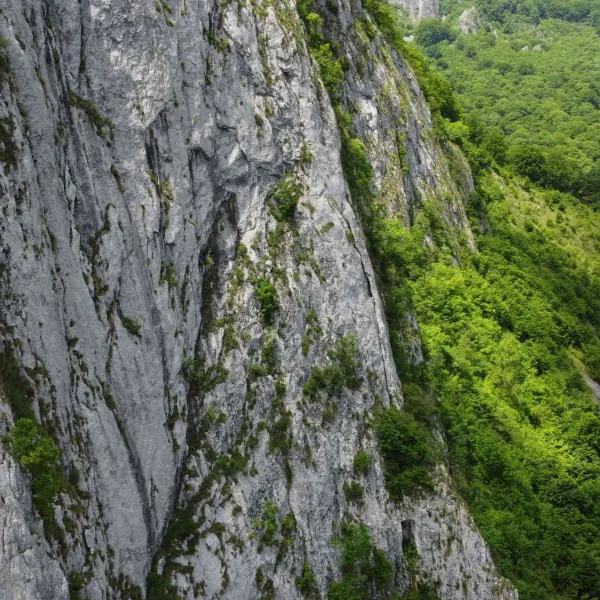 Echipa in R2, Tr Prieteniei