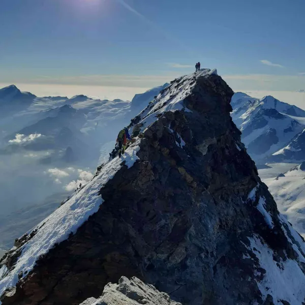 alpi
