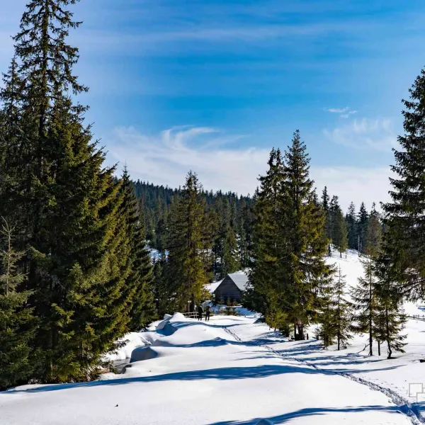 Via Apuseni