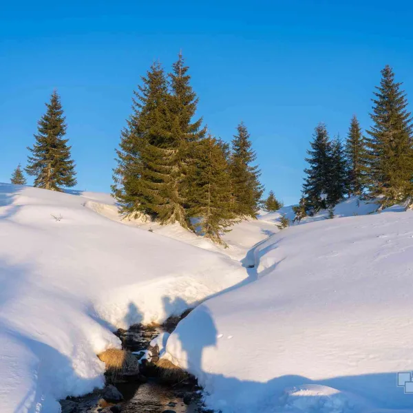Via Apuseni