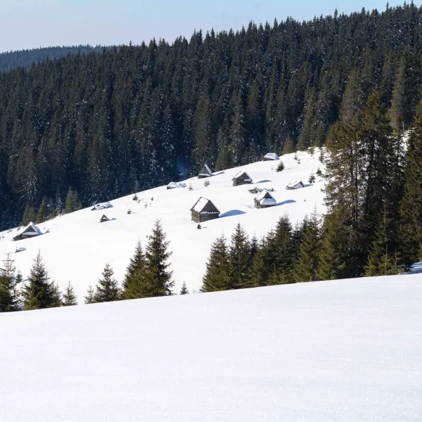 Via Apuseni