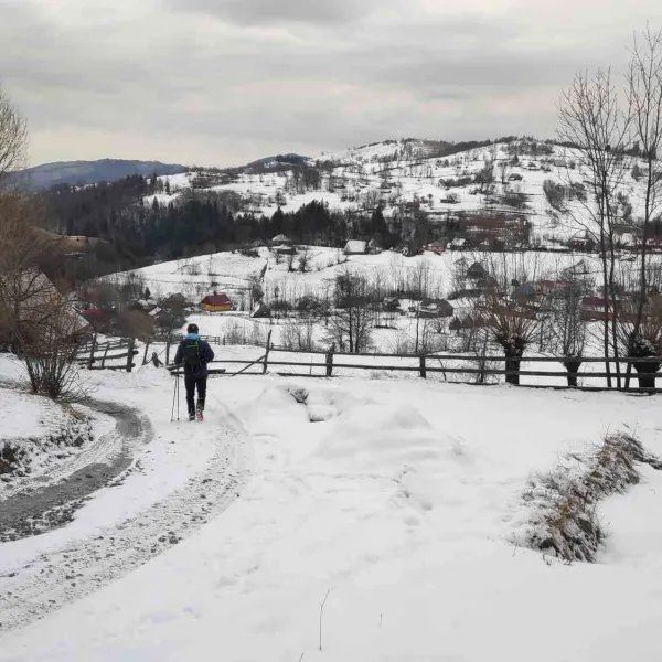 Rogojel