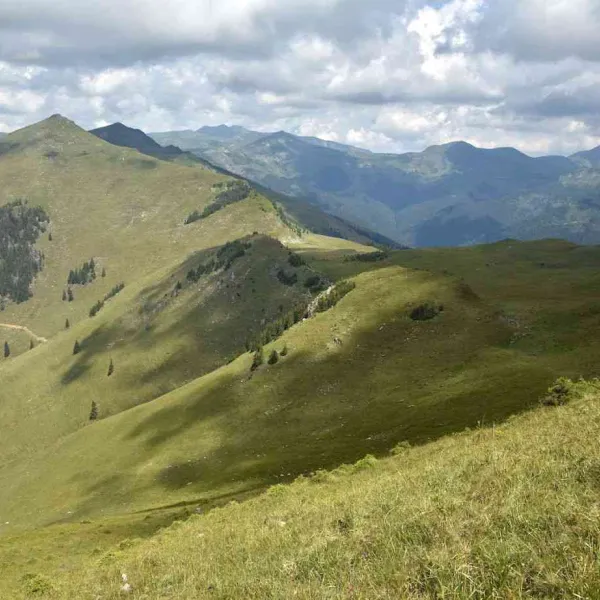 Rodnei