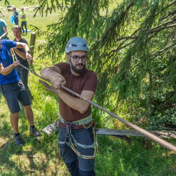 Igienizare Padis II
