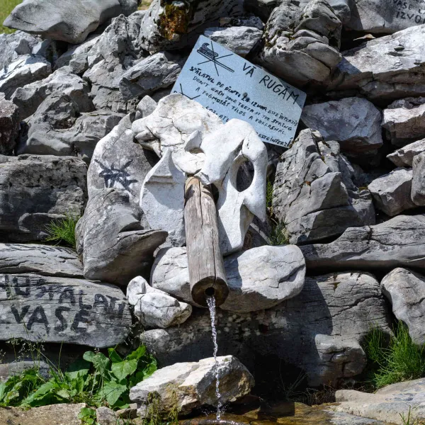 Igienizare Padis II