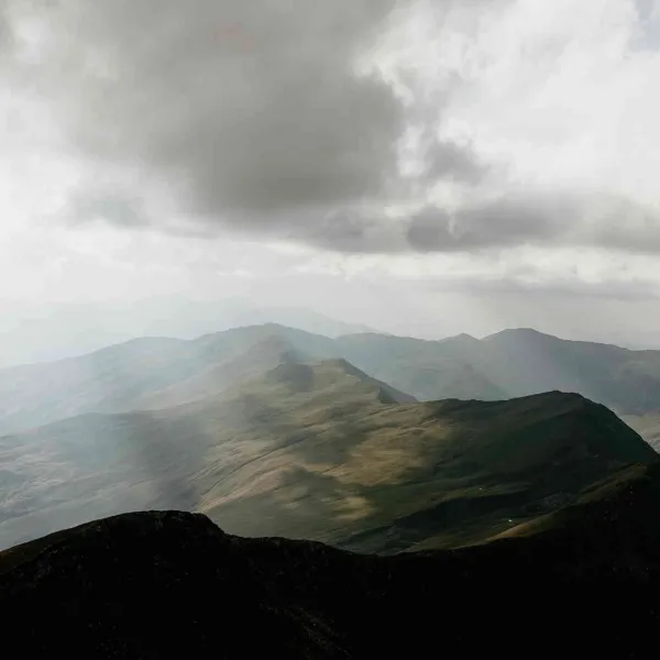 Rodnei