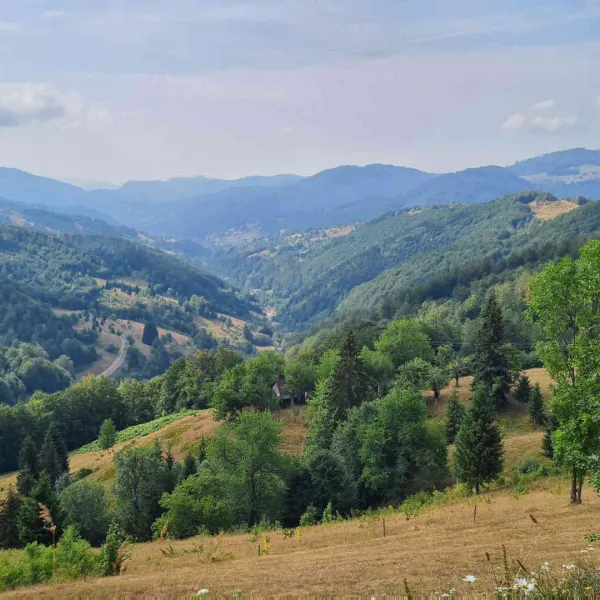 cascda