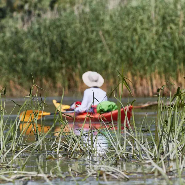 Cu caiacul în Delta Dunării, iulie 2022