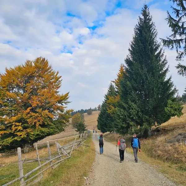Toamna pe Via Transilvanica