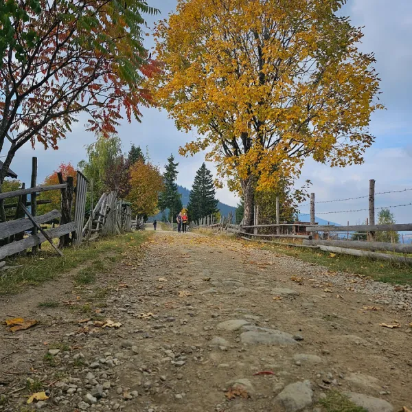 Toamna pe Via Transilvanica